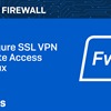 New Techvids Release - Sophos Firewall v20: Configure SSL VPN Remote Access in Linux